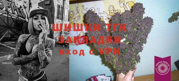 дмт Аркадак