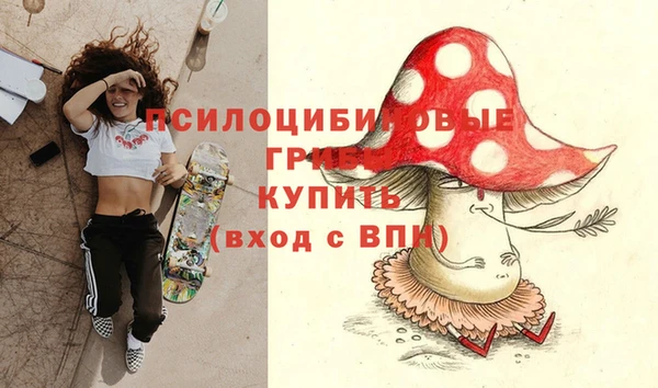 дмт Аркадак